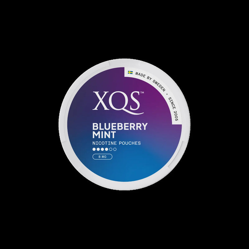 XQS BLUEBERRY MINT nicotine pouches can